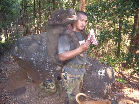 1991 Ford Bronco - A hunter carries his wild boar catch through a wooded area.