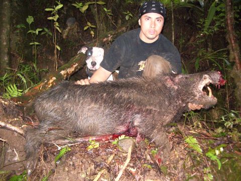 1991 Ford Bronco - A hunter poses with a wild boar and his dog after a successful hunt in a wooded area.