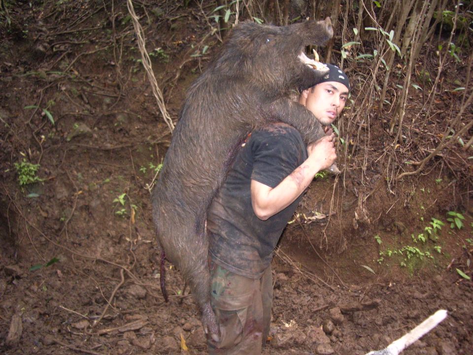 Man carrying a large wild boar over his shoulders in a muddy, wooded area. Watermark reads SUPERMOTORS.NET