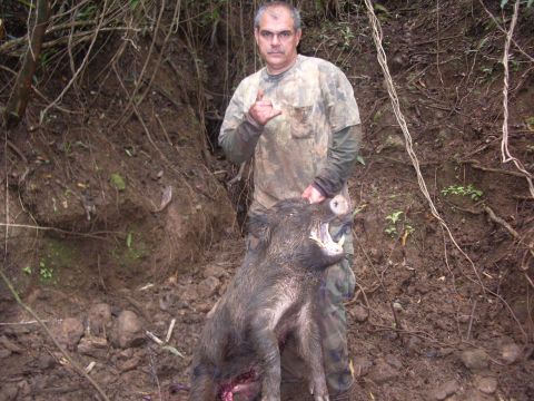 1991 Ford Bronco - A hunter proudly displays his catch, a wild boar, in a wooded area.