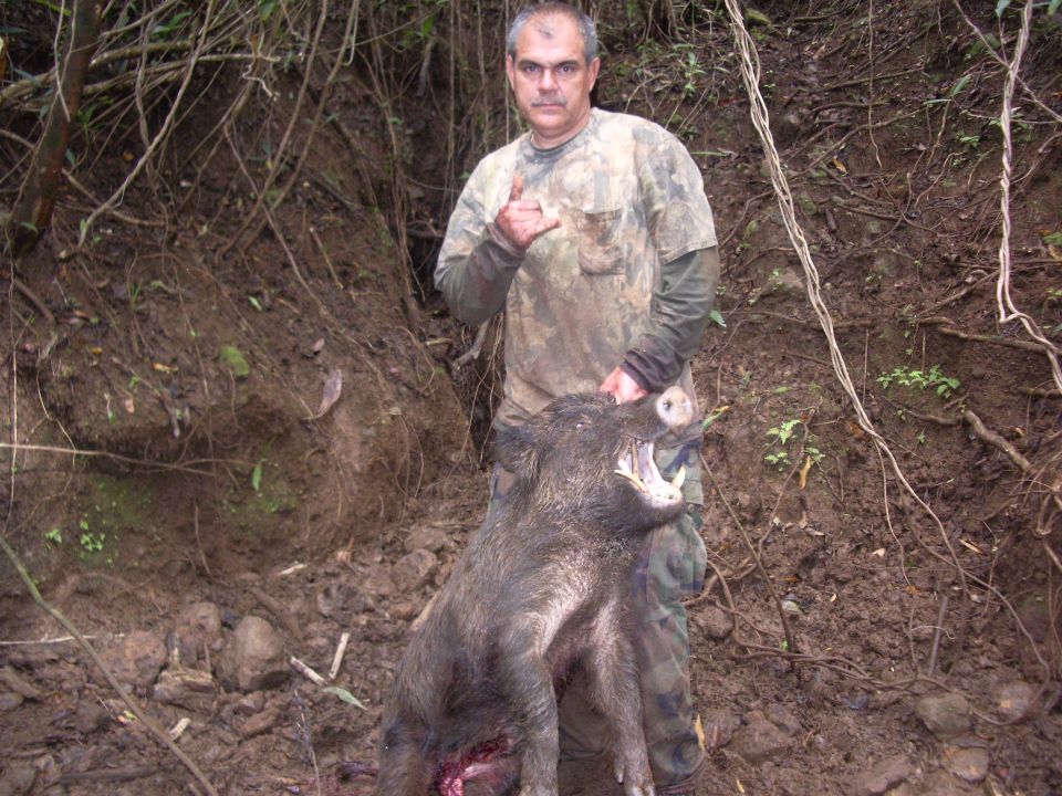Man in camo shirt holding a wild boar he hunted
