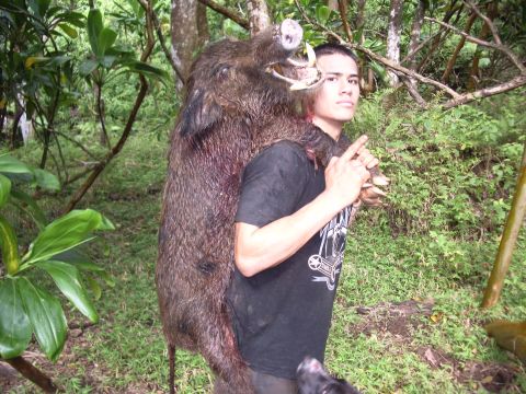 1991 Ford Bronco - A hunter proudly displays a wild boar he has successfully hunted in a lush, green forest environment.