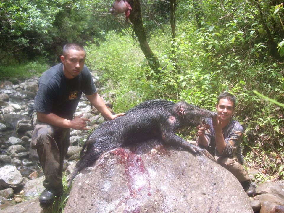 Two men pose with a large dead wild boar on a rock near a stream. One man is on the left, the other on the right