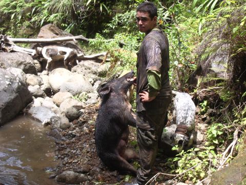 1991 Ford Bronco - A hunter stands with his catch, a wild boar, accompanied by his dogs in a natural outdoor setting.