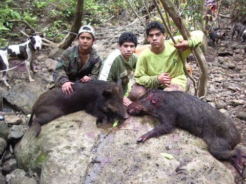 1991 Ford Bronco - Hunters proudly display their wild boar catch alongside their dogs in a natural outdoor setting.