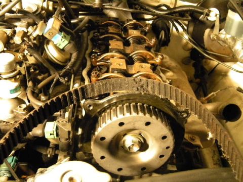 1988 Ford Bronco - Engine timing belt and gears are visible in this close-up shot. The website SUPERMOTORS.NET is watermarked.