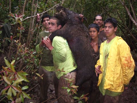 1991 Ford Bronco - A group of men pose with a large wild boar they have hunted in a dense forest environment.