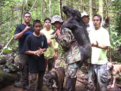 1991 Ford Bronco - Hunters proudly display a large wild boar they have captured in a dense forest environment.