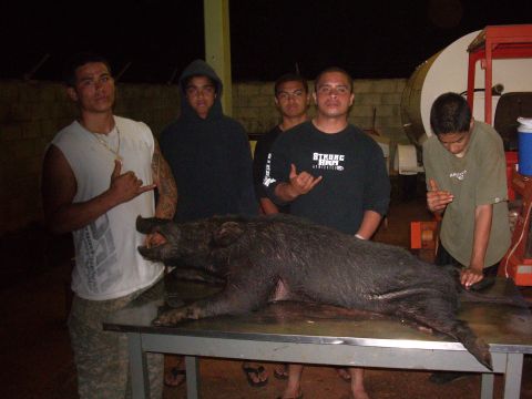 1991 Ford Bronco - A group of men pose with a large wild boar that has been placed on a table.