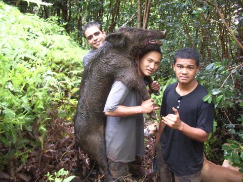 1991 Ford Bronco - Three men proudly display a large wild boar they have hunted in a dense forest environment.