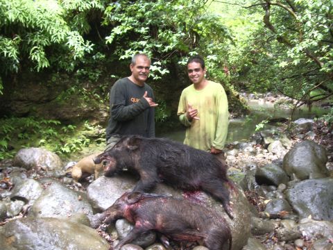 1991 Ford Bronco - Two men pose with two wild boars they have hunted in a wooded area with a stream.