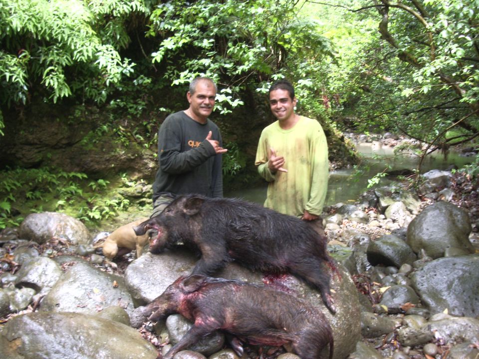 Two hunters and a dog beside two wild boars in a rocky jungle streambed