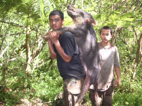 1991 Ford Bronco - Two young men proudly display a large wild boar they have hunted in a lush, green forest environment.
