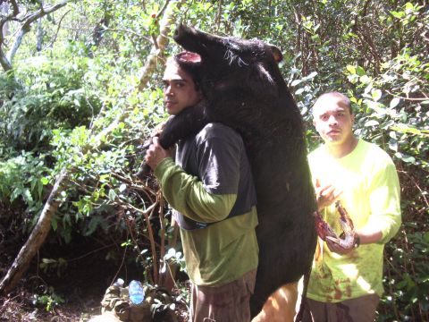 1991 Ford Bronco - Two men carry a large wild boar through a wooded area after a hunt.