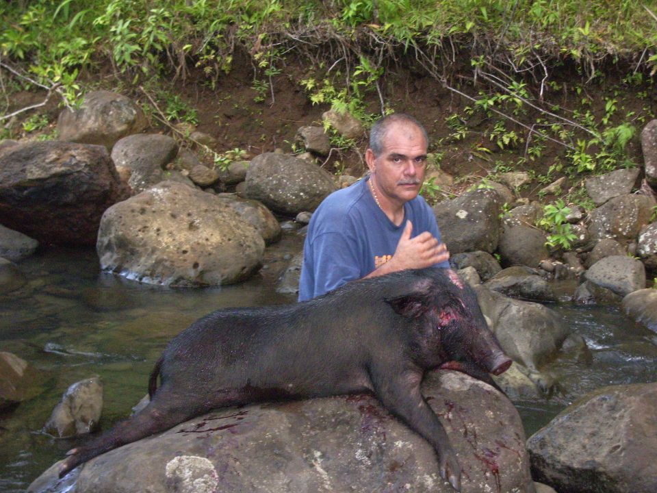 Man in blue shirt in a stream behind a black wild boar on a boulder