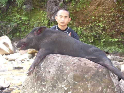 1991 Ford Bronco - A hunter poses with a wild boar he has caught, resting on a large rock in a natural setting.