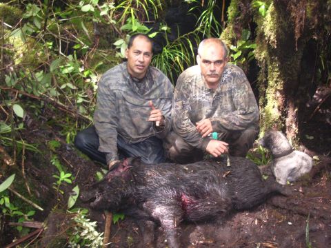 1991 Ford Bronco - Hunters pose with their wild boar kill in a dense forest environment.