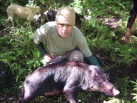 1991 Ford Bronco - A man poses with a harvested wild boar, accompanied by two dogs in a wooded area.