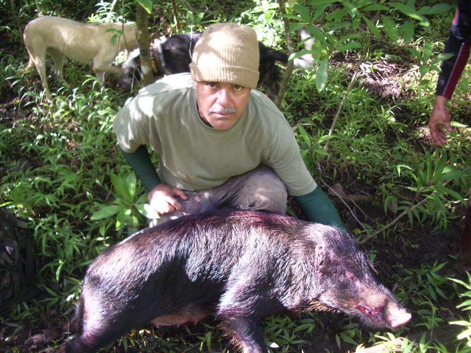 Hunter in tan beanie kneeling behind a harvested black wild boar in the brush