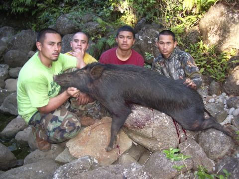 1991 Ford Bronco - Four men pose with a large wild boar they have hunted.