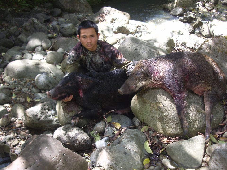 Young hunter kneeling with two wild boars on river boulders by a stream