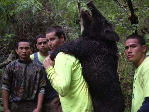 1991 Ford Bronco - A group of hunters proudly display their large wild boar catch in a wooded area.
