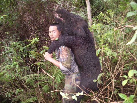 1991 Ford Bronco - A hunter carries a large wild boar he has successfully hunted through a dense forest.