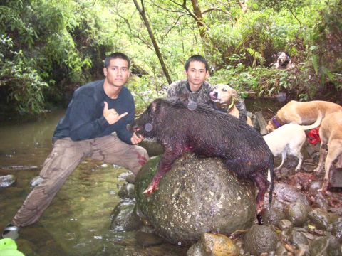 1991 Ford Bronco - Two hunters and their dogs pose with a wild boar they have caught in a forest stream.