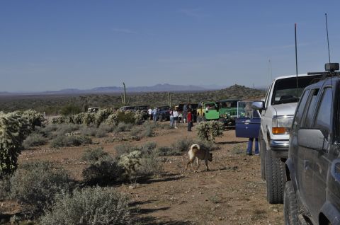 1991 Ford Bronco - Group of off-road vehicles gathered in a desert environment under a clear blue sky.