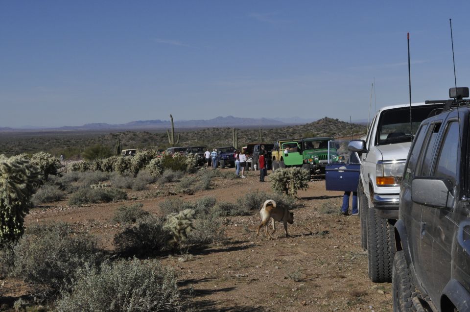 Several off-road vehicles parked in a desert landscape with cacti and mountains in the background. A dog walks in the foreground