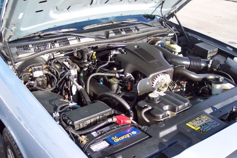 2001 Ford Crown Victoria - Engine bay of a 2001 Ford Crown Victoria, showing the V8 engine and related components.