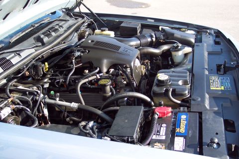 2001 Ford Crown Victoria - The engine bay of a 2001 Ford Crown Victoria, the V8 engine and associated components.