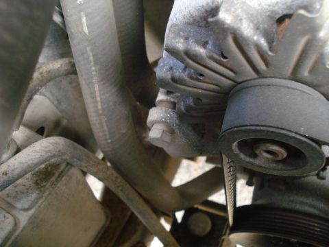 1989 Ford F-250 - Engine bay detail showing an alternator, belt, and coolant hoses.