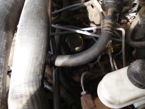 1989 Ford F-250 - Close-up view of an engine bay, showing various hoses, a fluid reservoir, and a yellow cap with text.