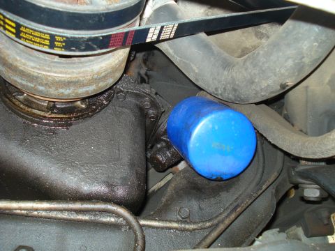 1989 Ford F-250 - Close-up view of engine components including a blue oil filter and a serpentine belt.