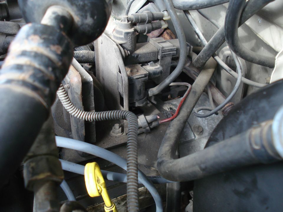 Close-up of engine bay with hoses, wires, and some electrical components visible