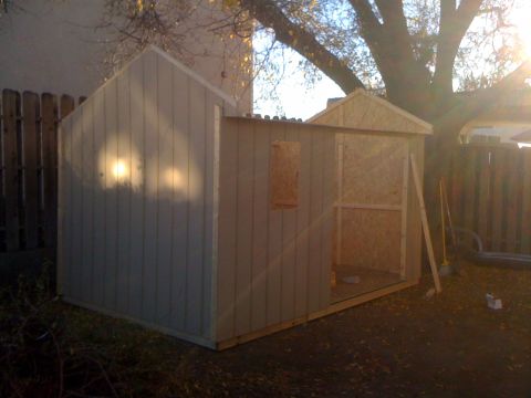 1968 Ford Mustang - An unfinished shed under construction is seen outdoors with a wooden fence and trees in the background.