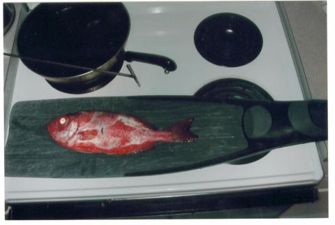 1991 Ford Bronco - A red fish lies on a cutting board placed on a stove next to a pan.