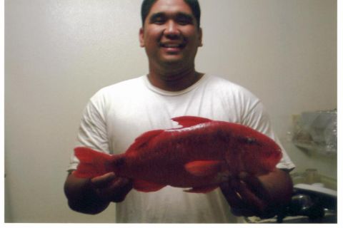 1991 Ford Bronco - Ryan Tambalo and his 4 lb, 17 inch freak Kumu from Molokai, KUMUZILLA.