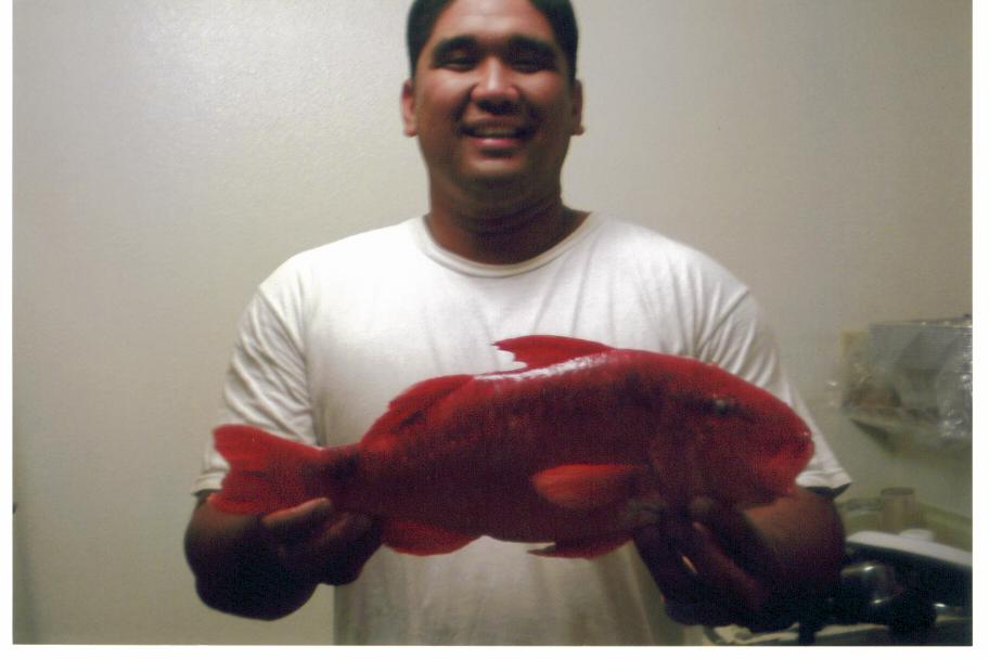 Ryan Tambalo and his 4 lb, 17 inch freak Kumu from Molokai, KUMUZILLA.