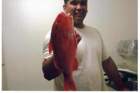 1991 Ford Bronco - Ryan Tambalo and his 4 lb, 17 inch long freak Kumu from Molokai.