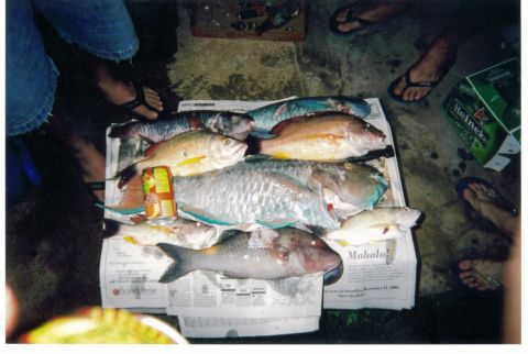 1991 Ford Bronco - A collection of freshly caught fish is displayed on newspapers, surrounded by people and a box of Heineken beer.