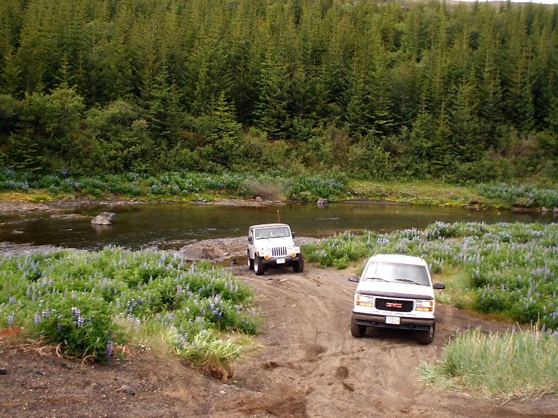 White GMC van and white Jeep Wrangler parked on a sandy riverbank amid lupines and pine forest