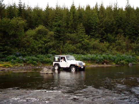 1996 Ford Bronco - A white Jeep Wrangler navigates a river, with a dense forest lining the bank behind it.