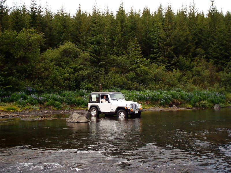 White Jeep Wrangler fording a river near a rocky bank and evergreen forest