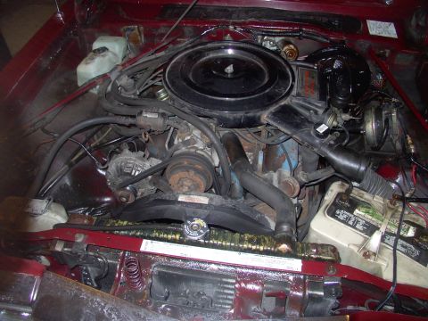 1982 Chrysler New Yorker - Low mileage but original 82 318 4bbl engine needs timing chain