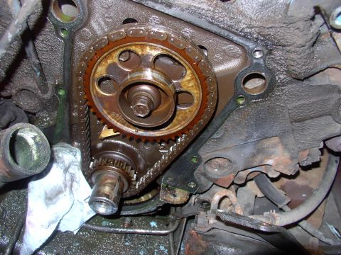 1982 Chrysler New Yorker - Just look at that slacker of a chain, with it's plastic cam gear still in reasonable shape. At least we know junior didn't horse it too bad…