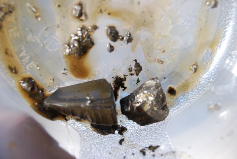 1982 Ford Bronco - Metal fragments and oil residue are visible in a clear container, suggesting engine damage.