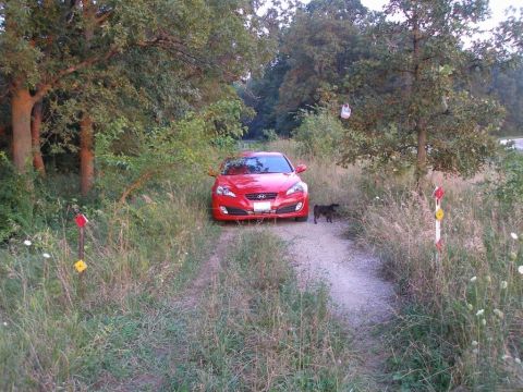 2010 Hyundai Genesis - A red Hyundai Genesis coupe is parked on a dirt path surrounded by trees and tall grass, with a dog standing next to it.