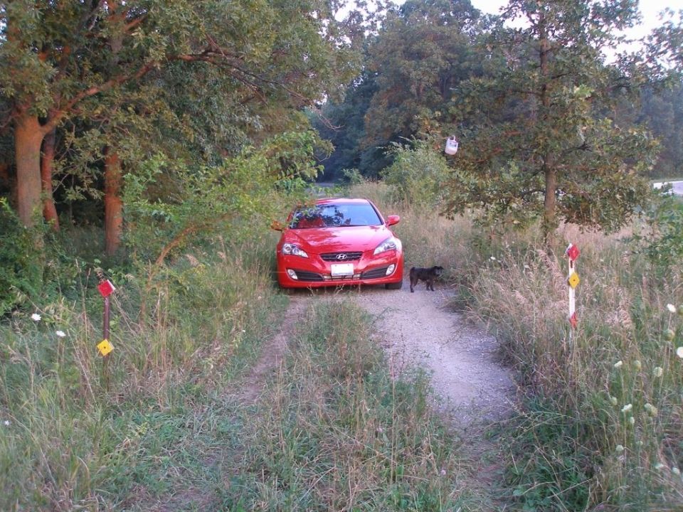 Red Hyundai Genesis coupe parked on a dirt road with a dog nearby